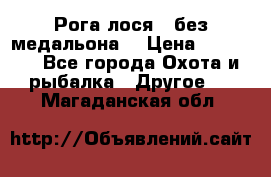 Рога лося , без медальона. › Цена ­ 15 000 - Все города Охота и рыбалка » Другое   . Магаданская обл.